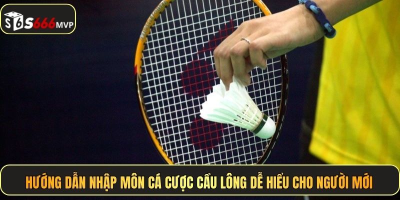 Hướng dẫn nhập môn cá cược cầu lông dễ hiểu cho người mới